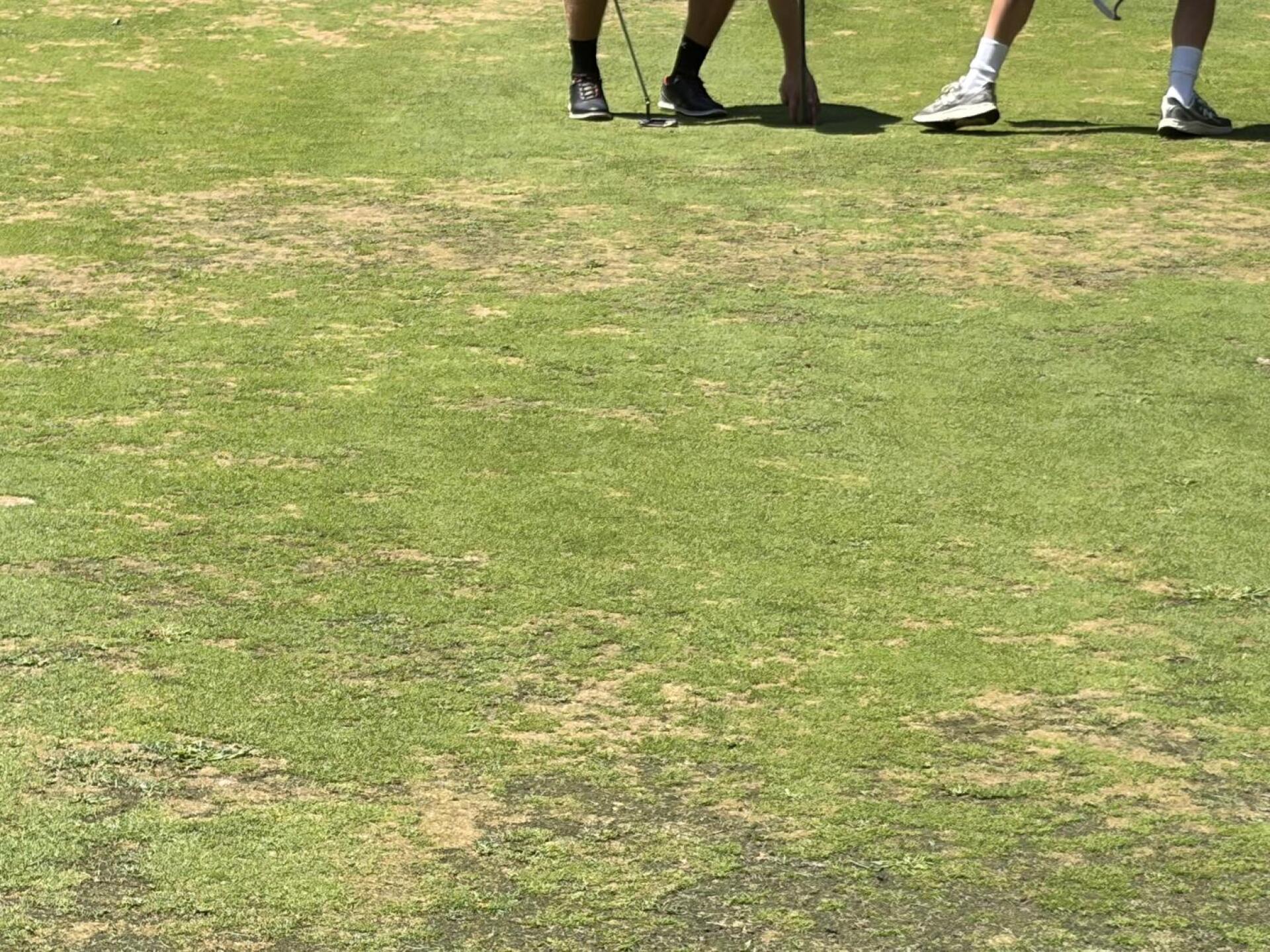 Fairways and greens (Photo submitted by Nate9387079 on 08/19/2026)