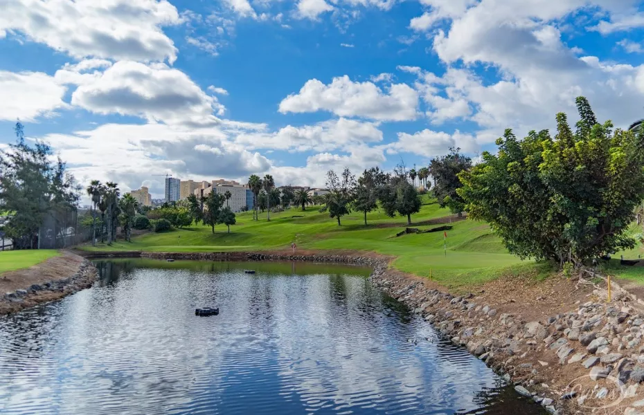 Las Palmeras GC: #10, #11