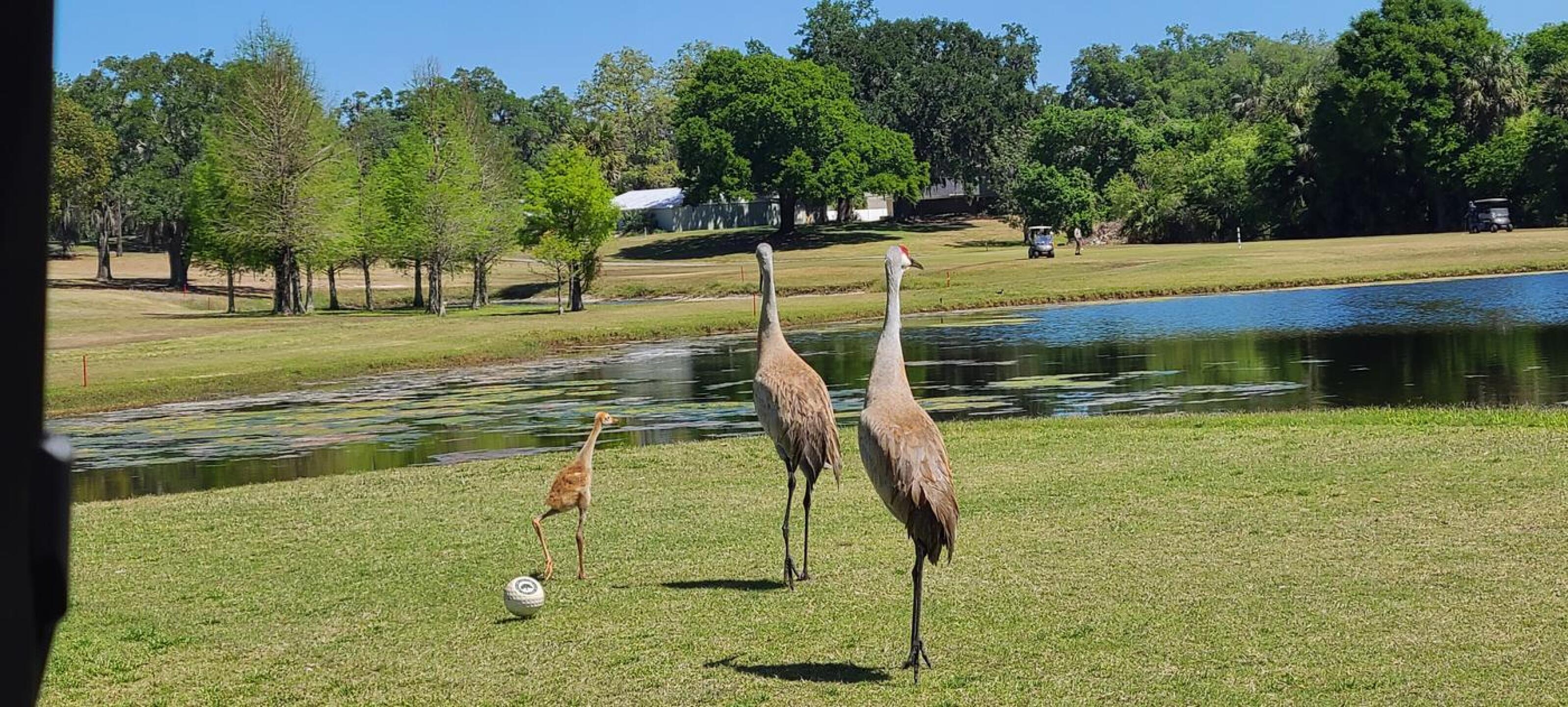 (Photo submitted by Sarides on 03/25/2023)