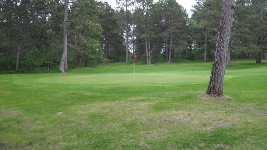Twin Pines GC: #6