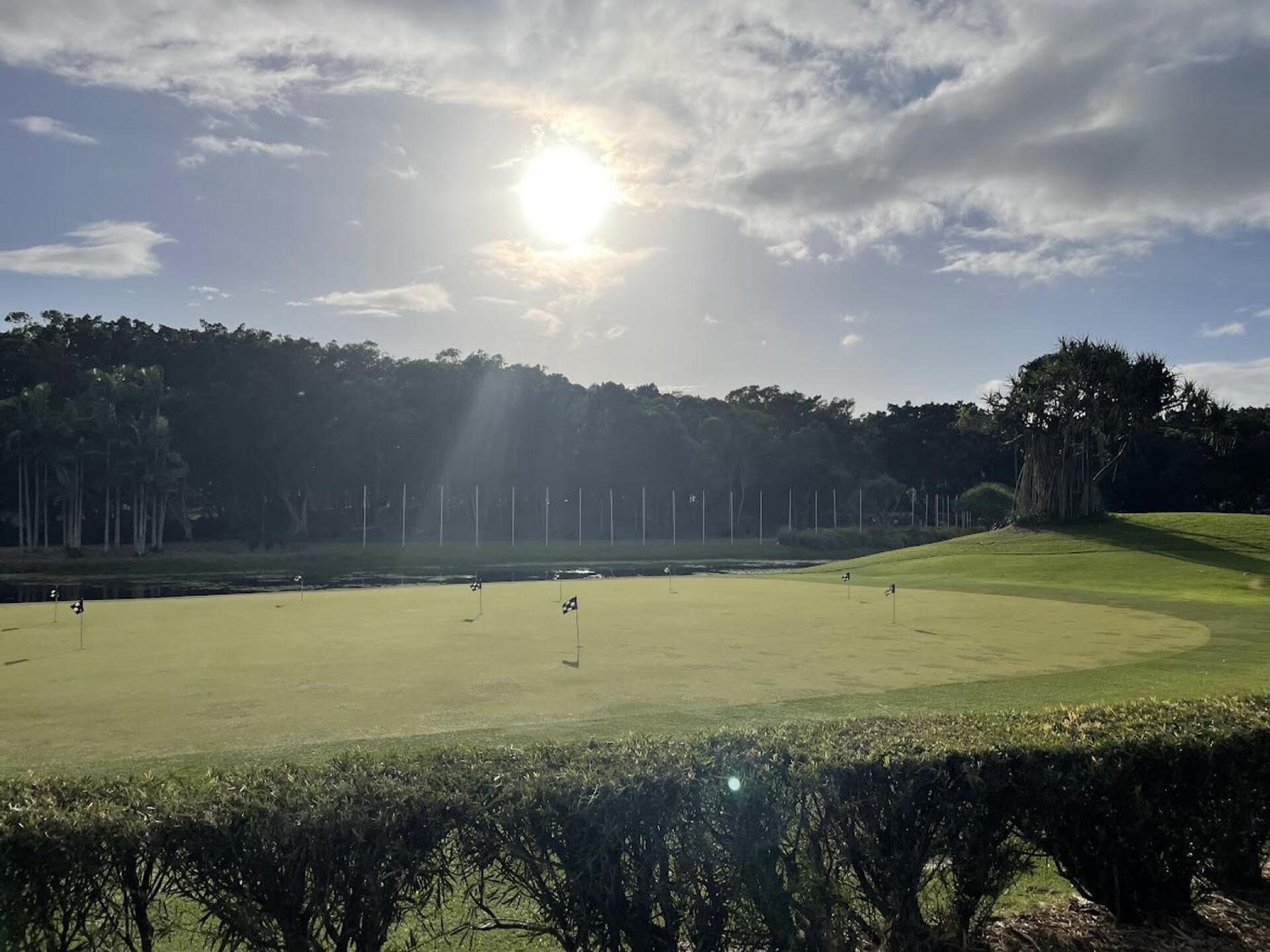 (Photo submitted by u314161067805 on 04/25/2023)