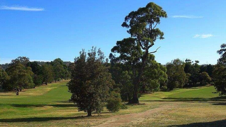 Belvoir Park GC: #14
