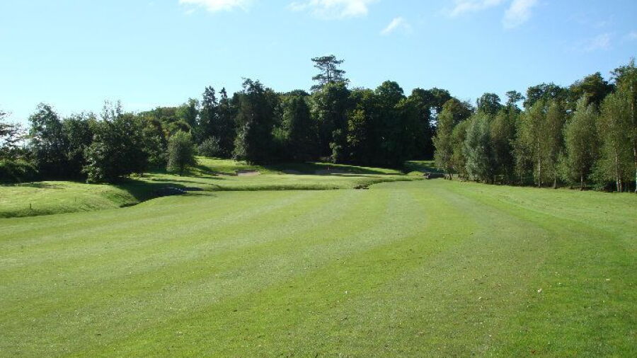 Gowran Park G & Race C: #4
