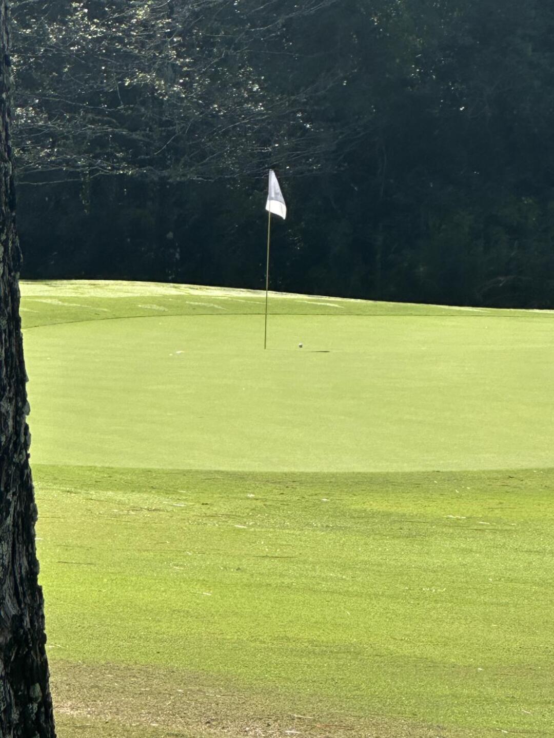 (Photo submitted by JaredGiambelluca on 10/28/2023)