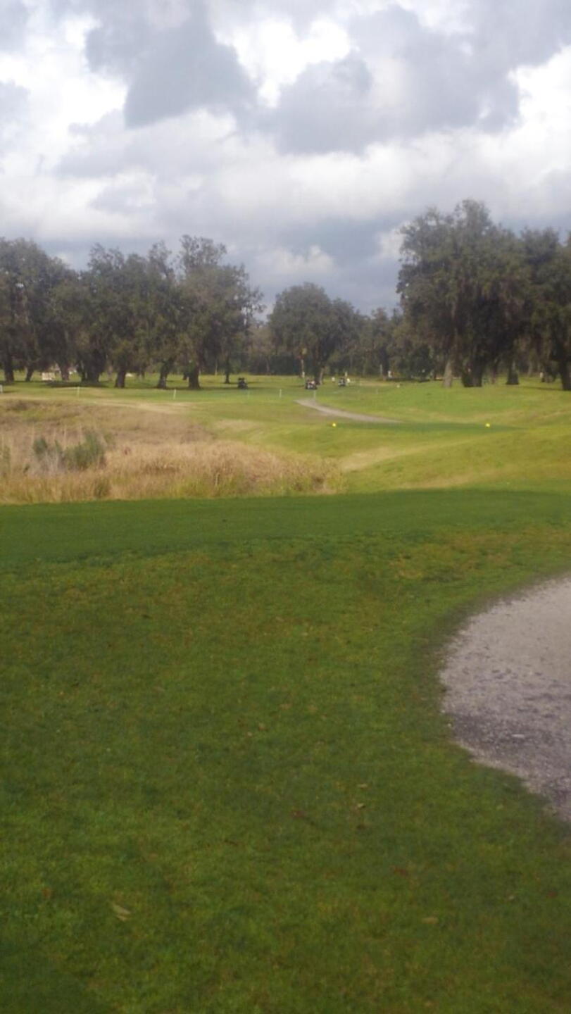 Tee box view on number 12, par 5 with water in front of the green. (Photo submitted by boogernose on 08/15/2021)