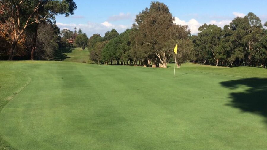 Gordon GC