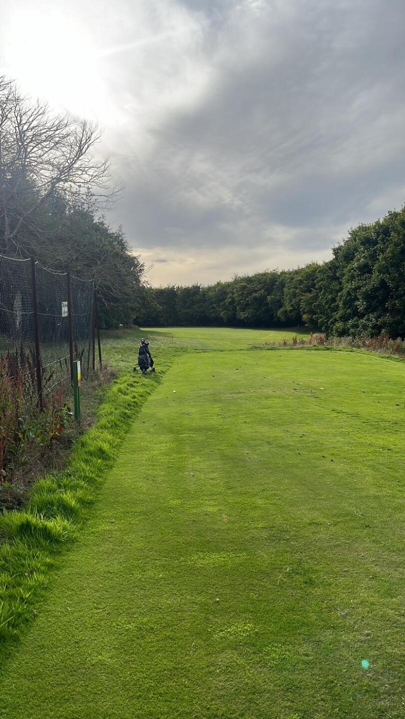 (Photo submitted by 3LDxJMVqo85xn5LAgcB7 on 08/11/2024)