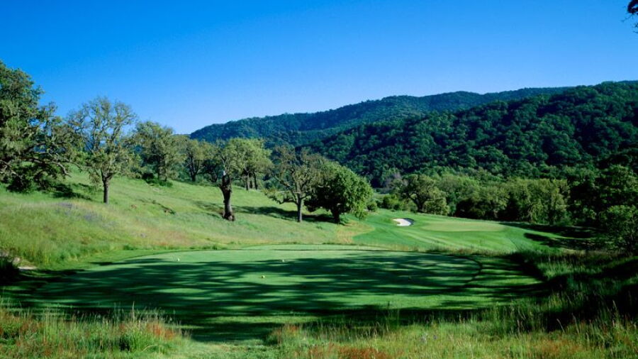Preserve GC: #2
