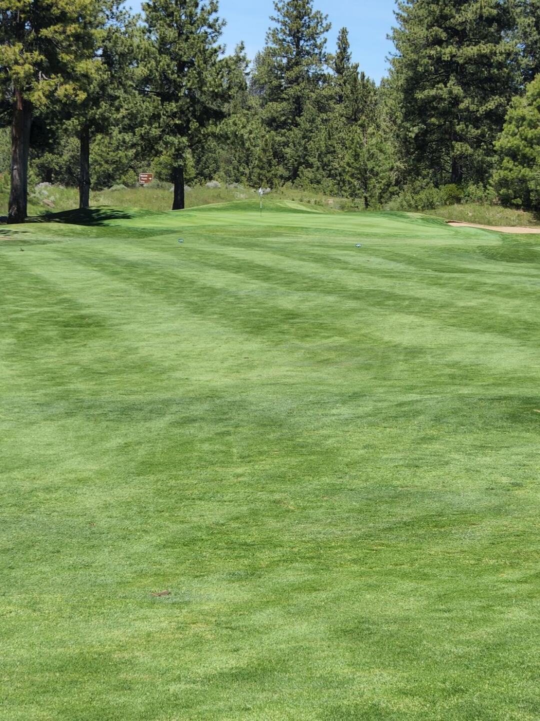 Nice and green conditions (Photo submitted by u000005693395 on 06/22/2022)