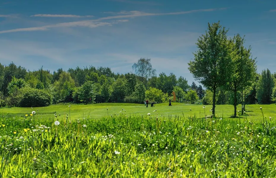 Habichtswald GC