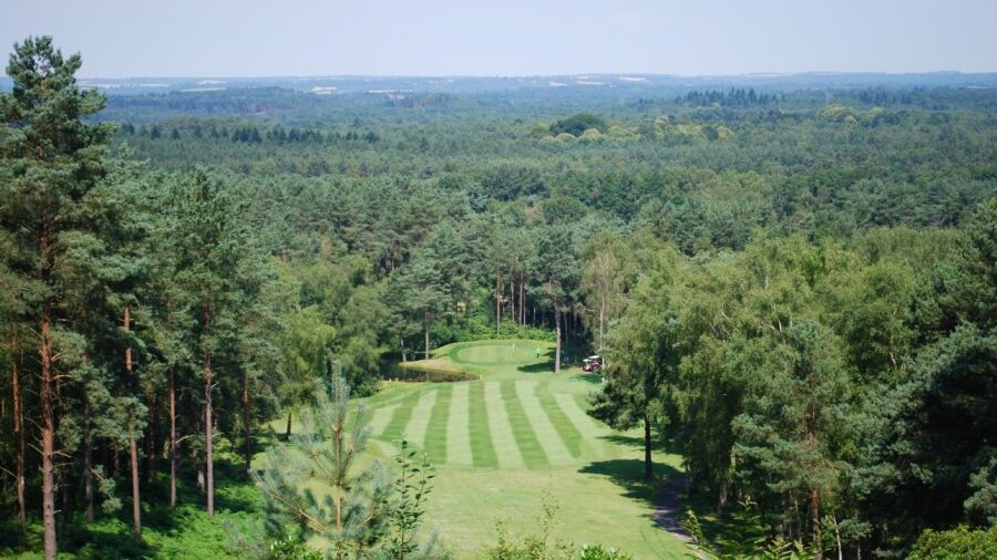 5th hole with a forest backdrop