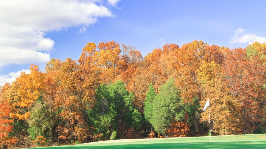River Trace Golf at MAC