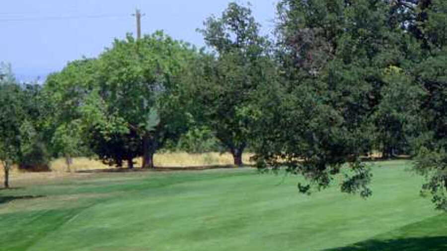 Arbuckle GC
