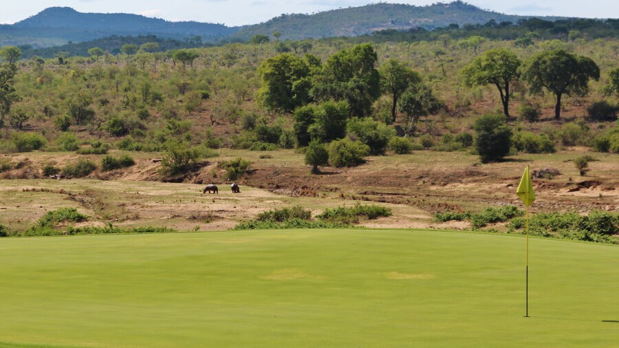 Leopard Creek C.C. golf course - hippos 