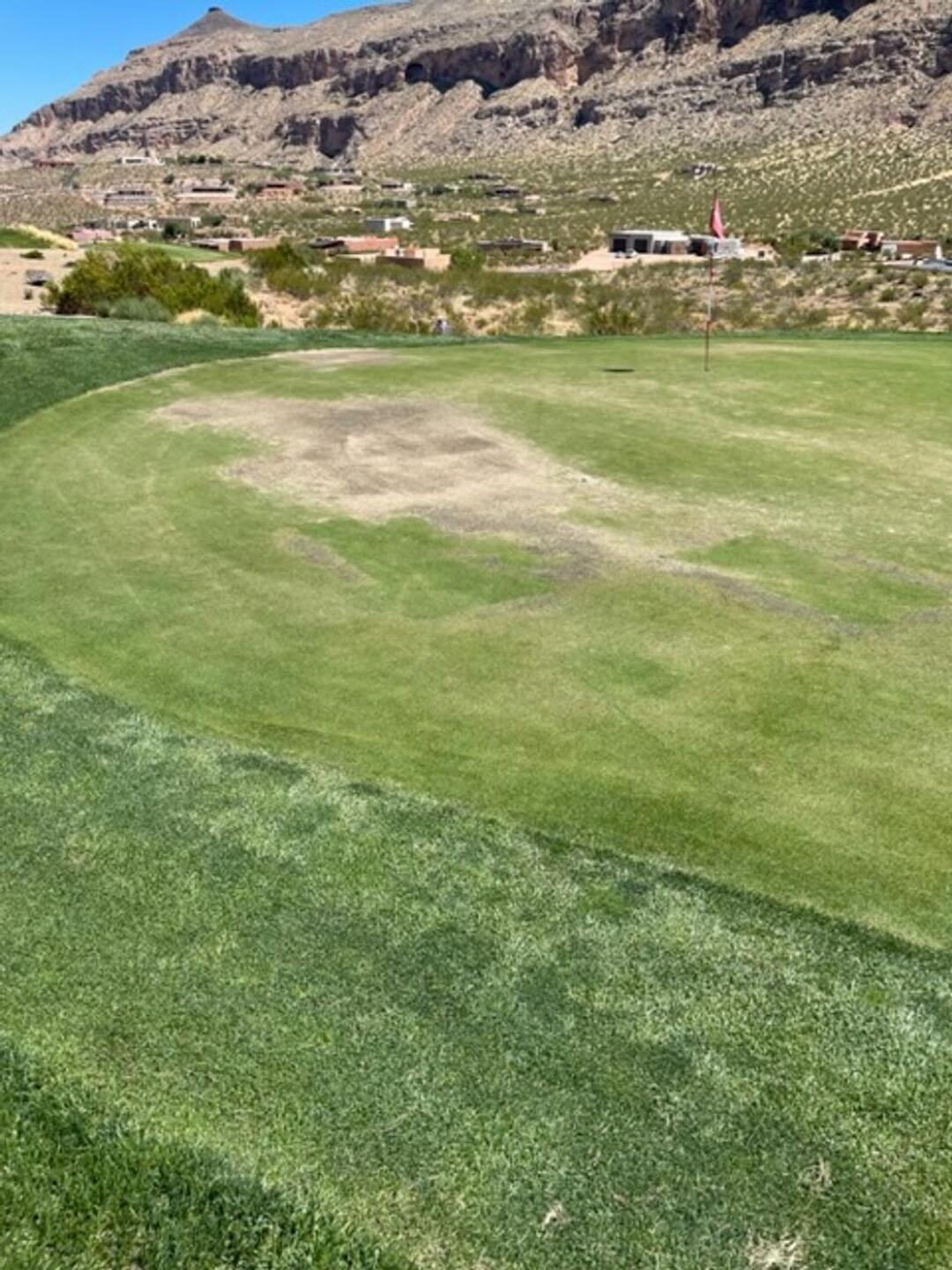 (Photo submitted by u000006297270 on 08/30/2023)