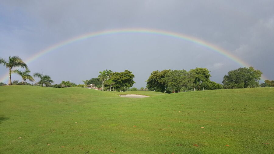 Championship at Boca Raton GC: #9