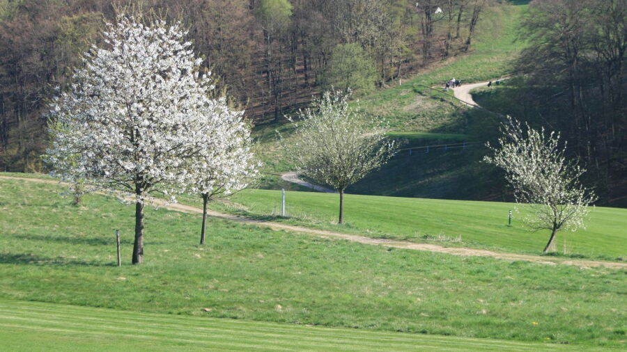 Gelstern Luedenscheid-Schalksmuehle GC