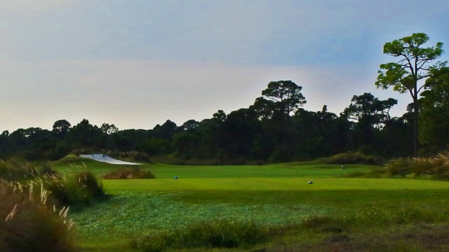 PGA Golf Club - Dye golf course - hole 15