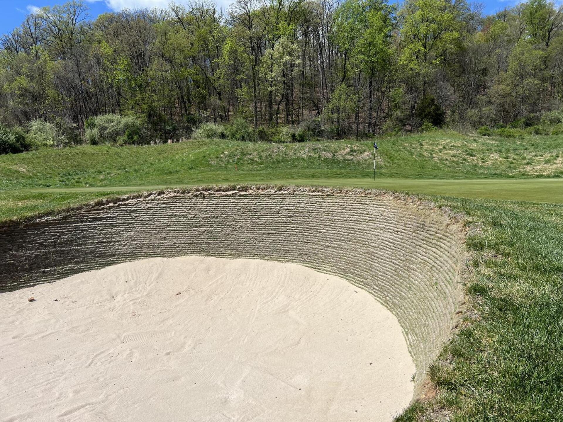 (Photo submitted by jagZpsu on 04/14/2024)