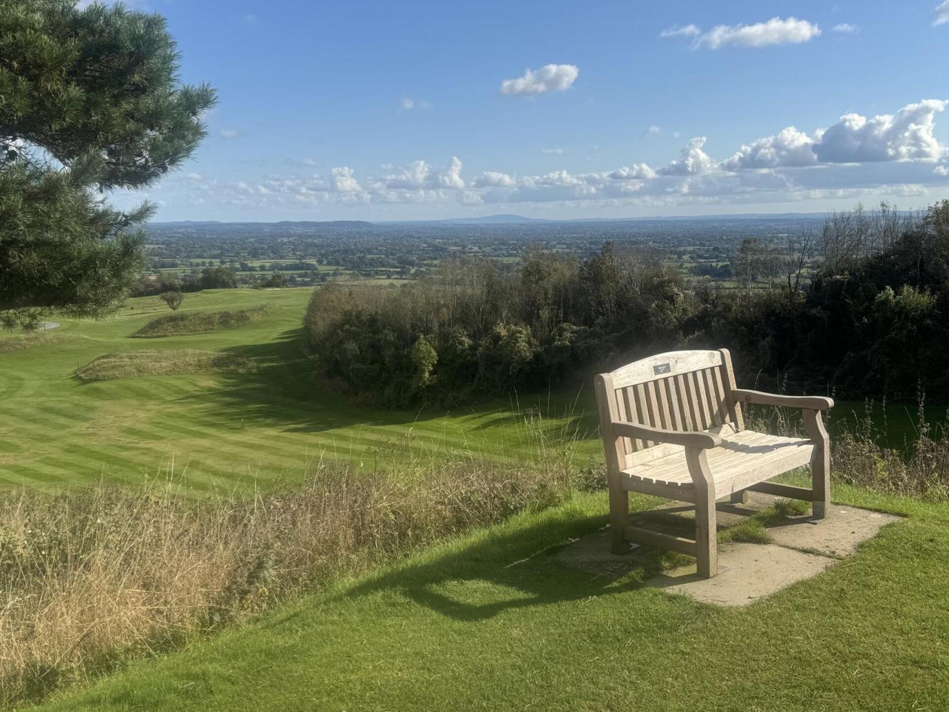 (Photo submitted by 80NaJ8c6R0aQQ8txoNOL on 10/13/2024)