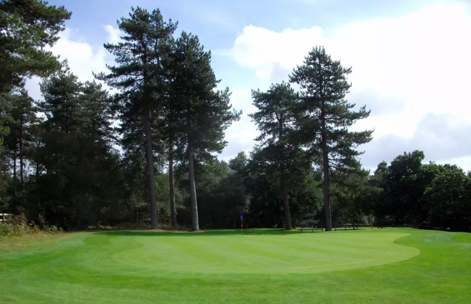 Moors Valley fairway