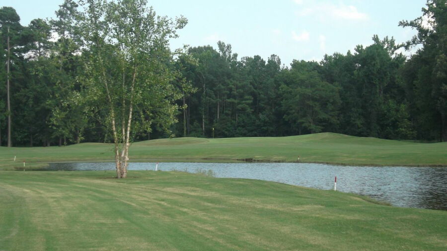 Ironwood GCC: #14