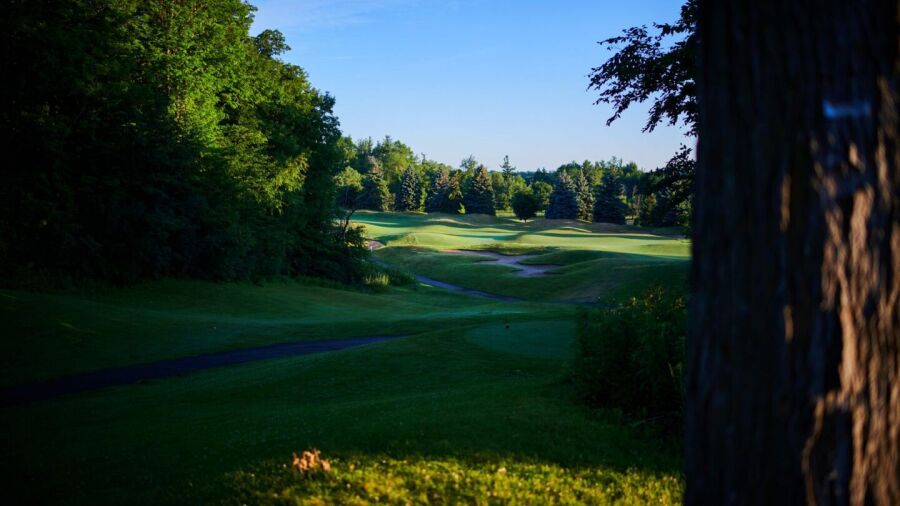 Lionhead GCC - Masters