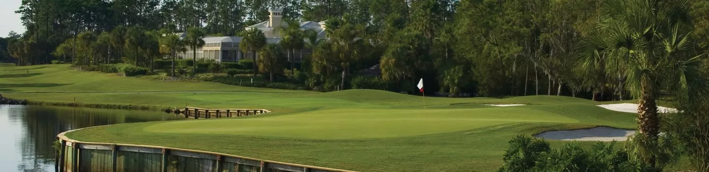 Palmer at Saddlebrook Golf & Tennis Resort: #5
