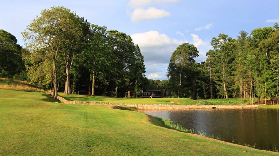 Close House Estate - Colt: #18