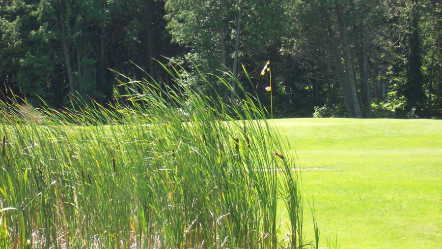 Landings of Willow Creek