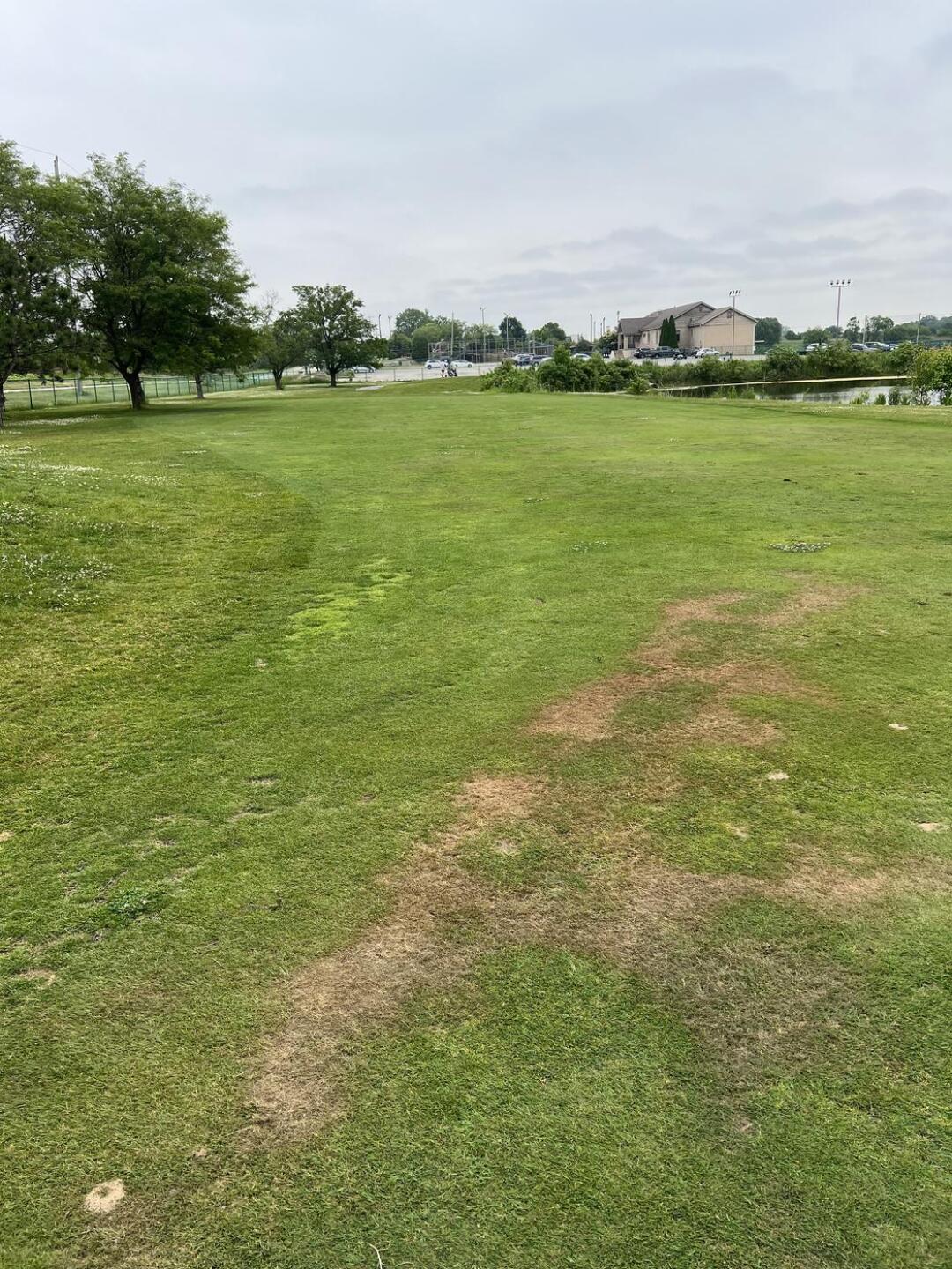 (Photo submitted by u314163474353 on 06/16/2025)