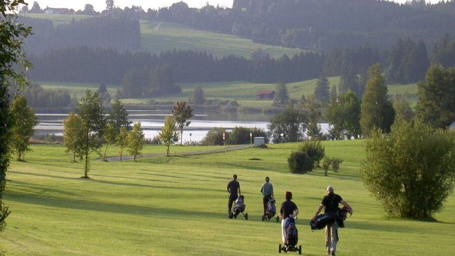 Stenz GC: #1