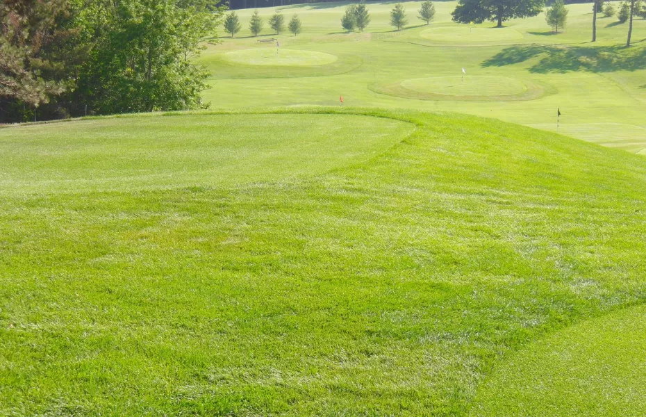 Pine Hills CC: Practice area