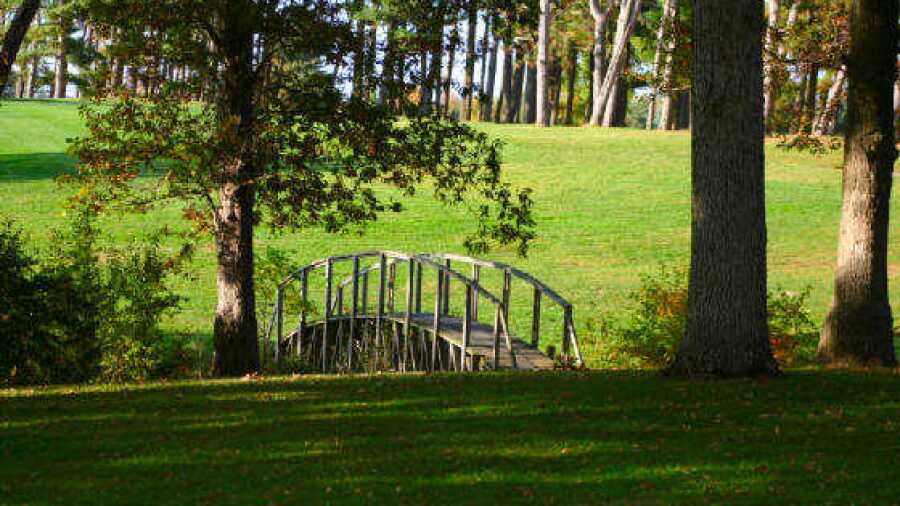 Pine View GC