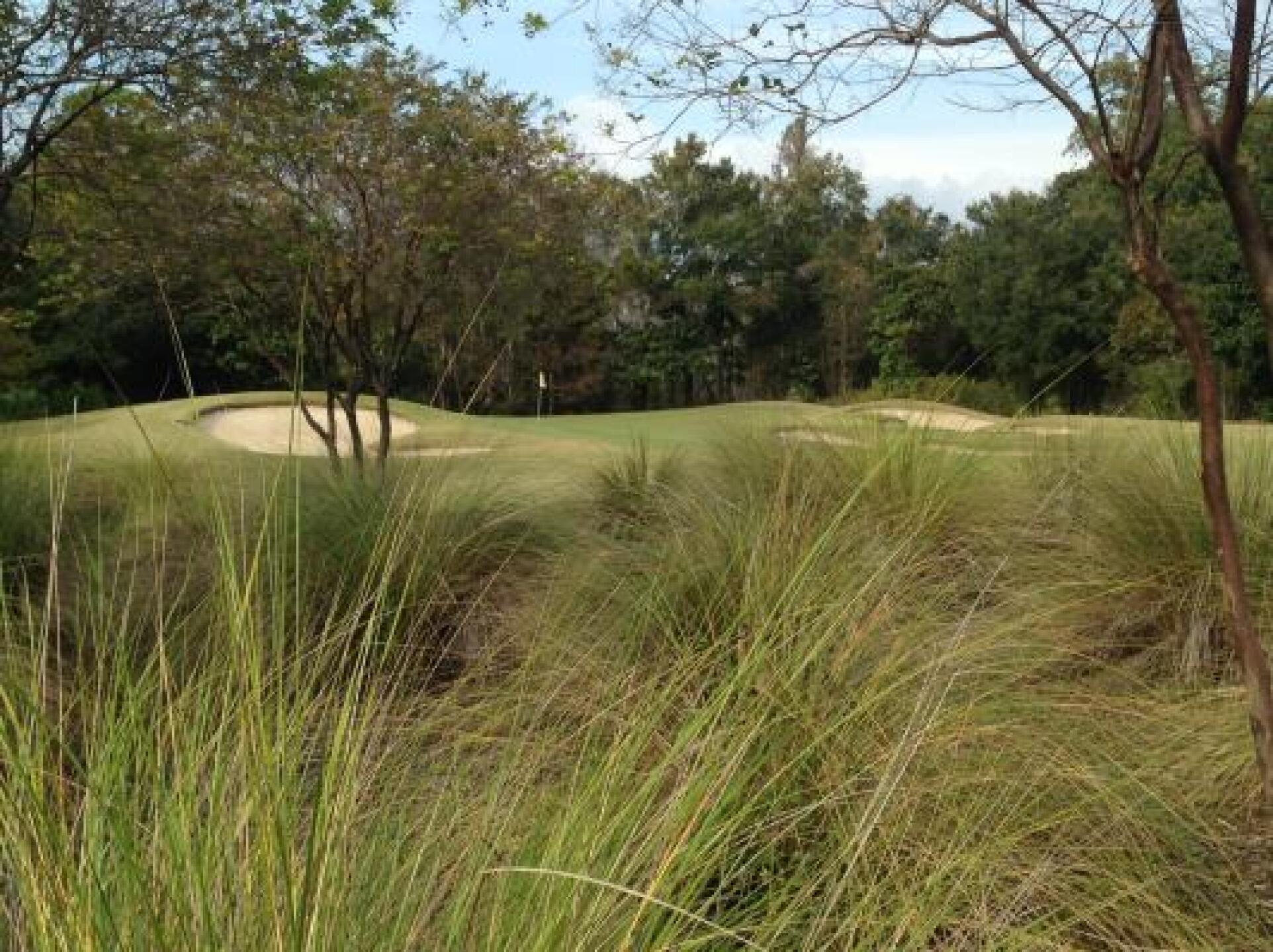 (Photo submitted by dzepp on 11/13/2014)