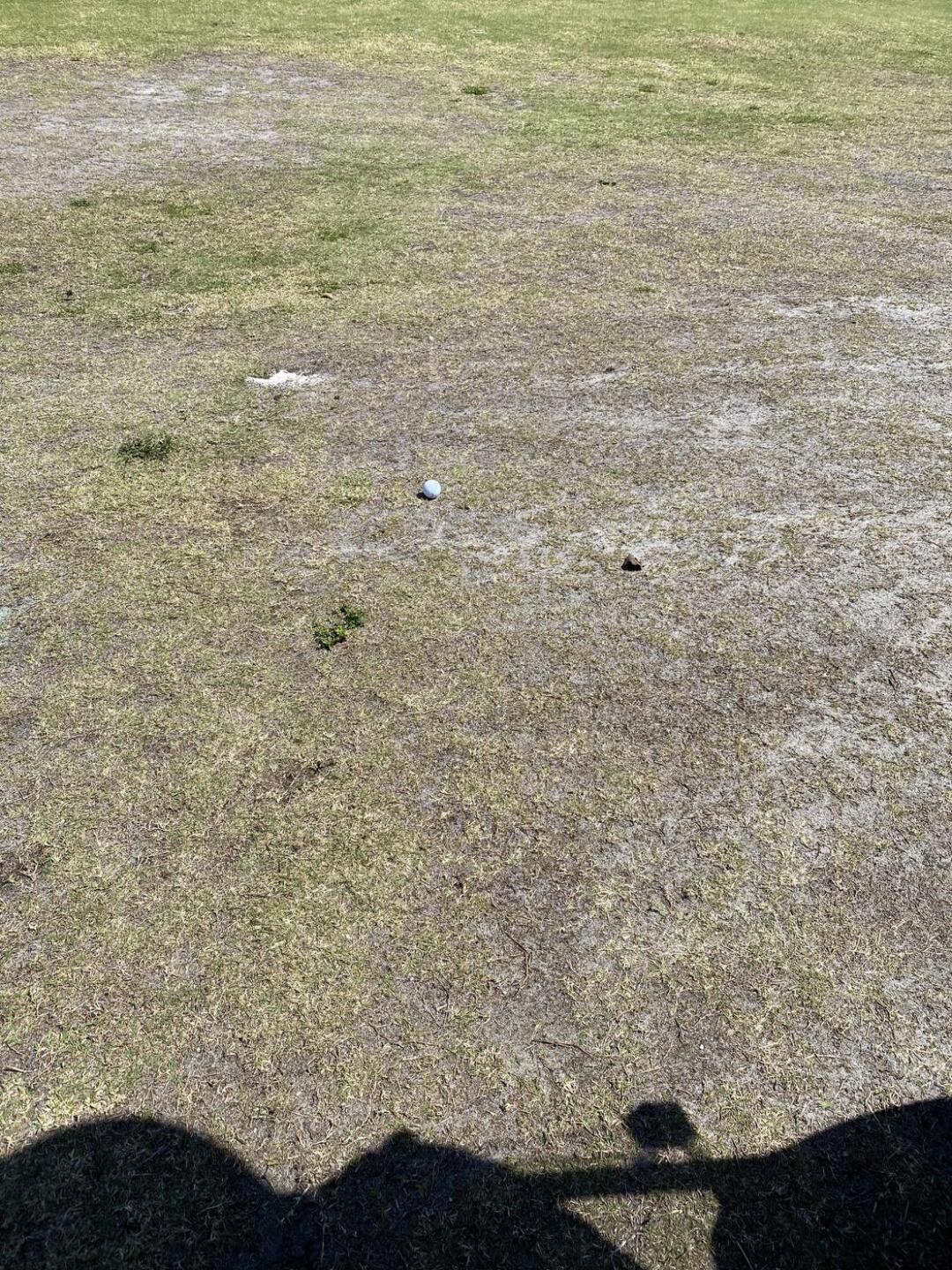 Middle of the fairway (Photo submitted by Cduffy95 on 03/23/2021)