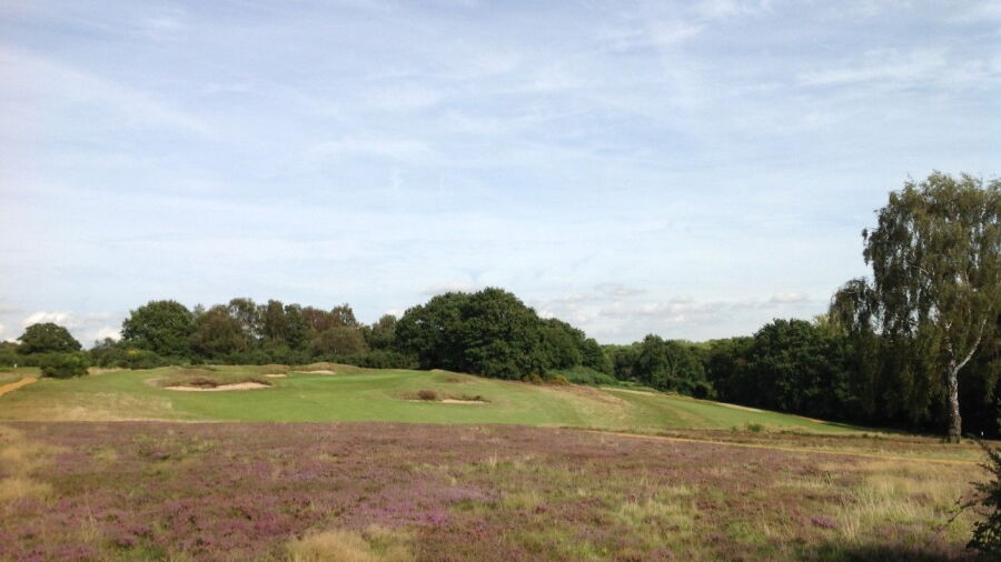 Purdis Heath at Ipswich GC: #16