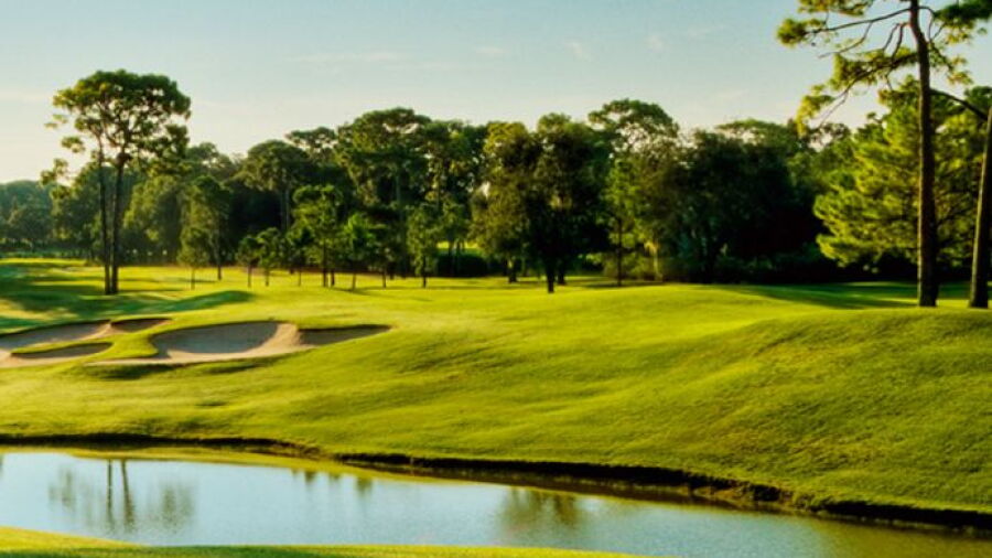 Innisbrook Resort & Golf Club - Fox Squirrel