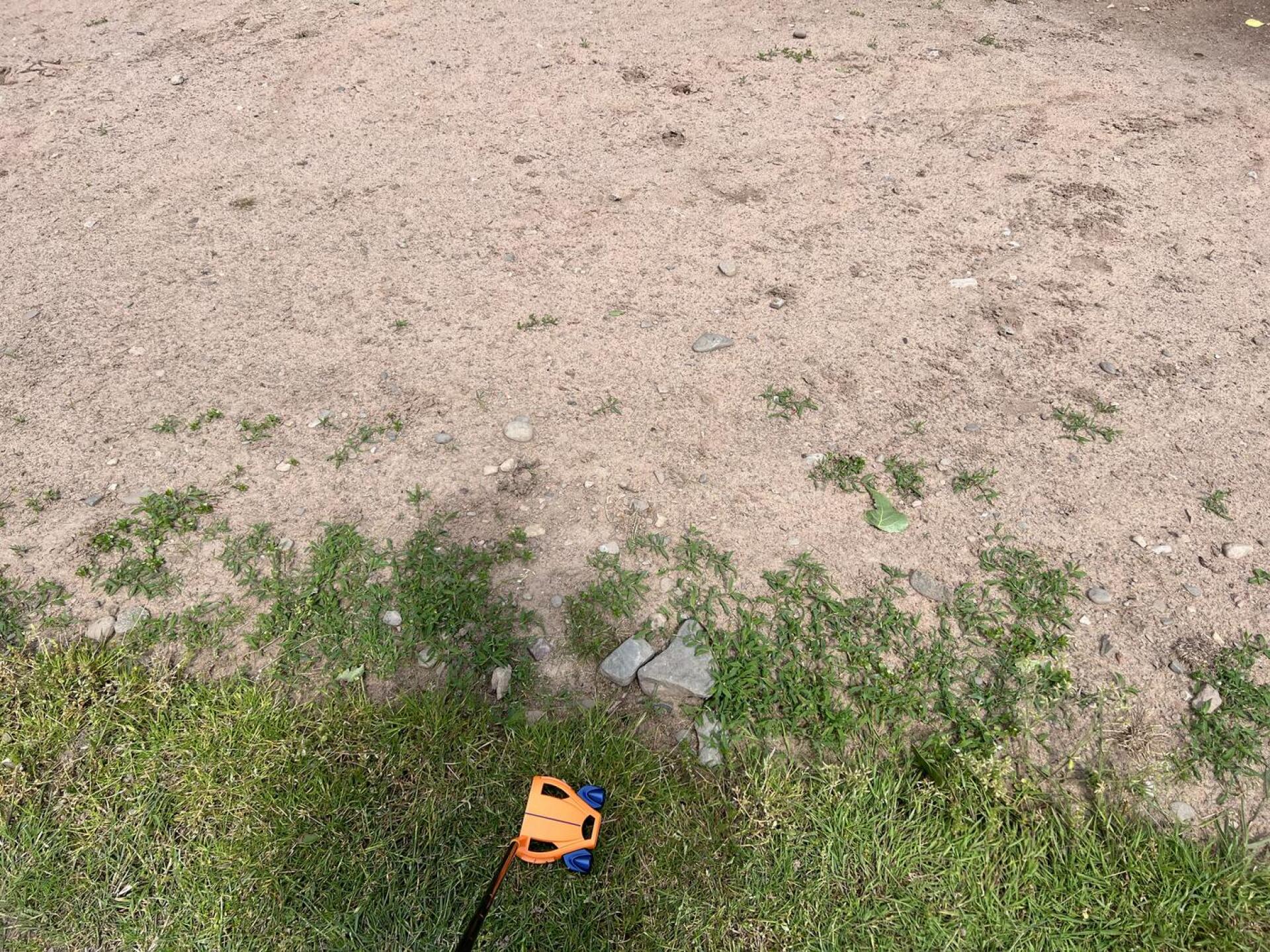 (Photo submitted by Yagoobian on 05/28/2022)