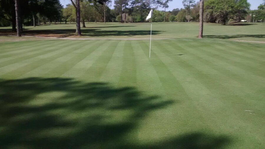 Jake Gaither Municipal GC: #8