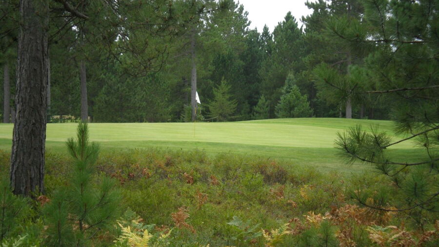 NMU GC
