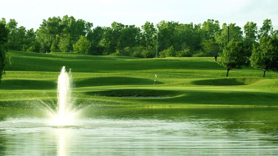 Taylor Meadows GC: #1