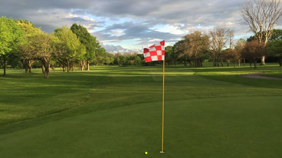 Meadowlark GC: #7