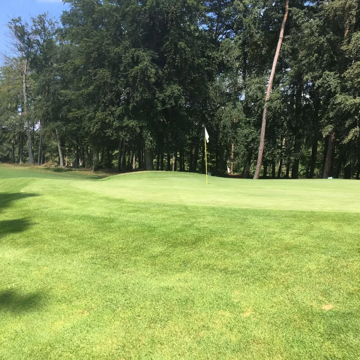 Woodland Golf Course in RamsteinMiesenbach, Kaiserslautern, Germany