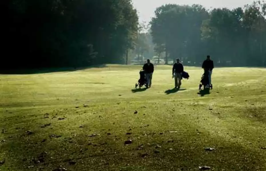 Crescent Farms Colt GC