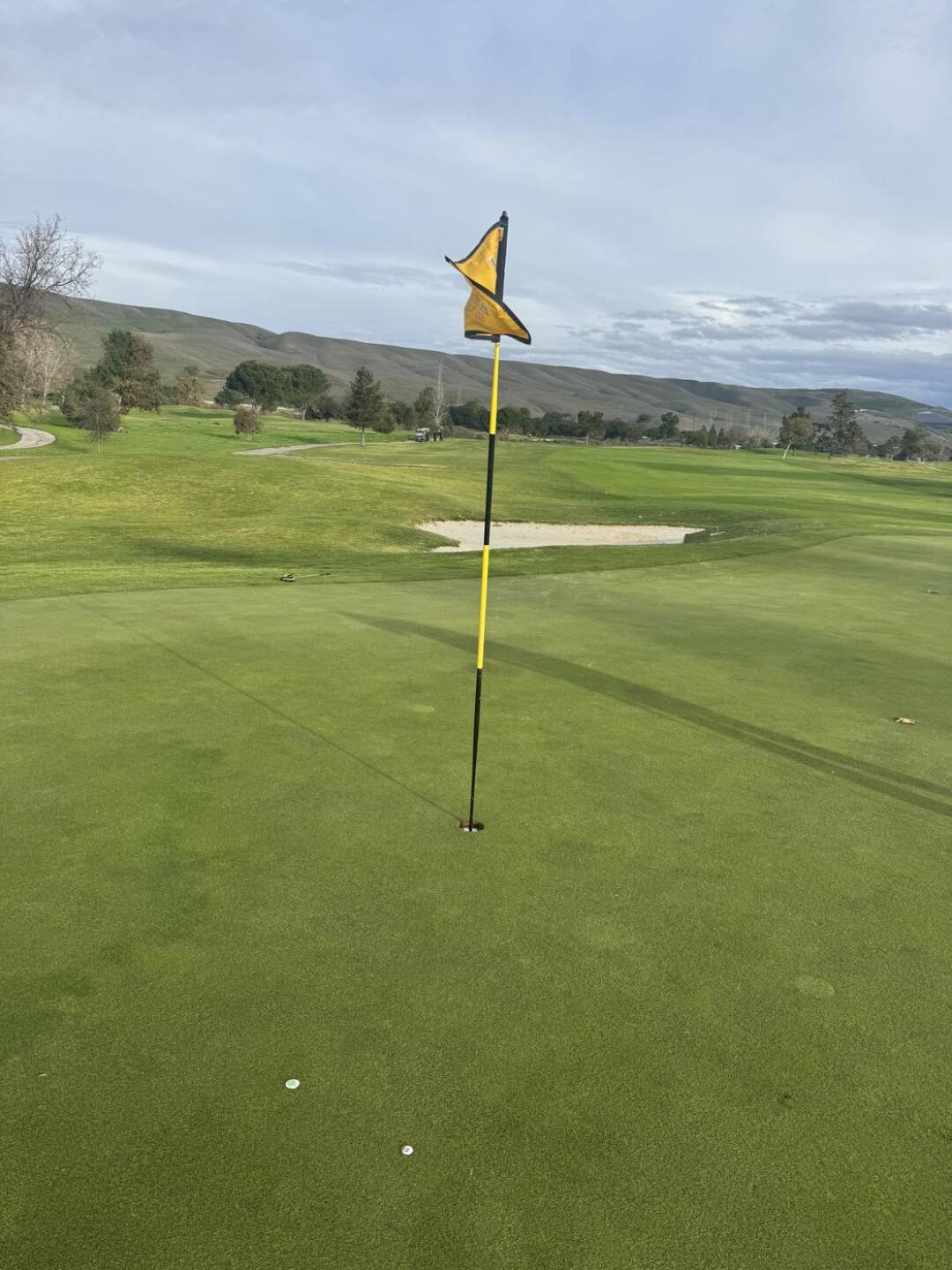 (Photo submitted by kapetrismegisto on 01/02/2026)