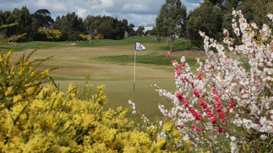 Ballarat GC: flowers
