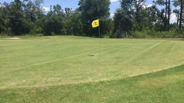 Donalsonville CC: #3