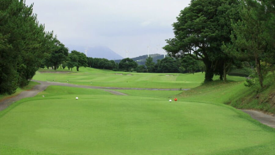 Shimadzu GC: #15