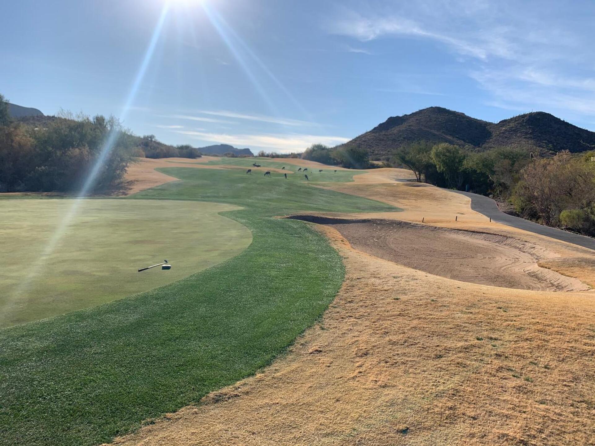 (Photo submitted by AirFed on 01/08/2021)